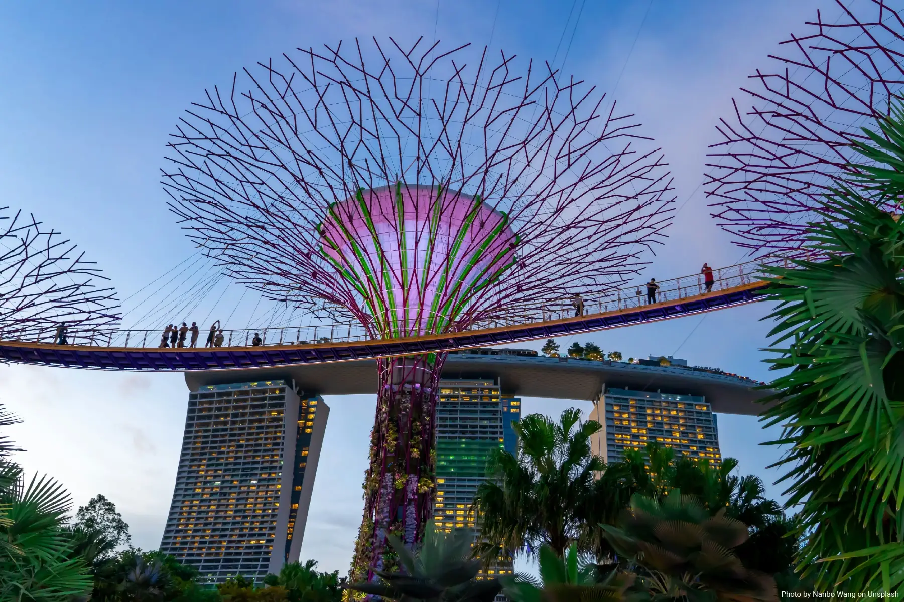 Languages Spoken in Singapore: What Every International Student Should Know