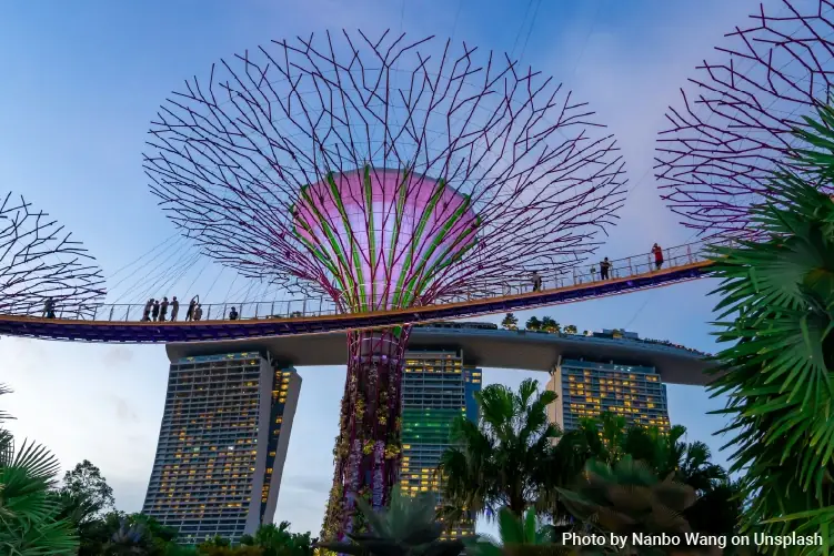 Languages Spoken in Singapore: What Every International Student Should Know