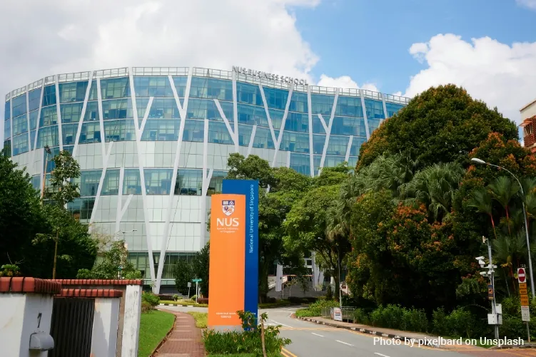 Undergraduate Studies in Singapore: What You Need to Know